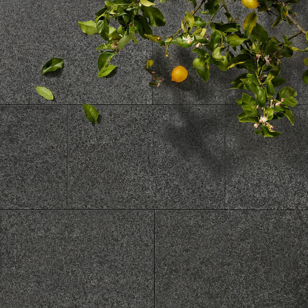 Black Collection - Stone Centre