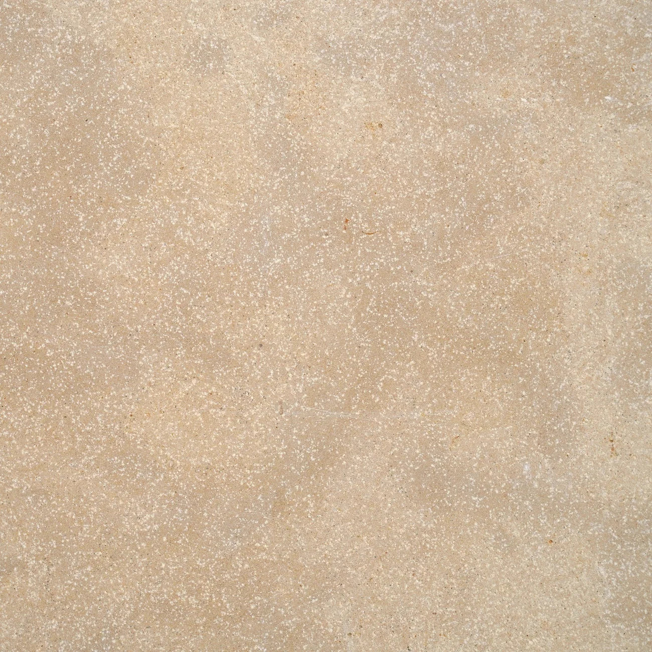 Calcetta Limestone