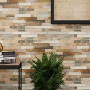 Oyster Gold - Stone Centre