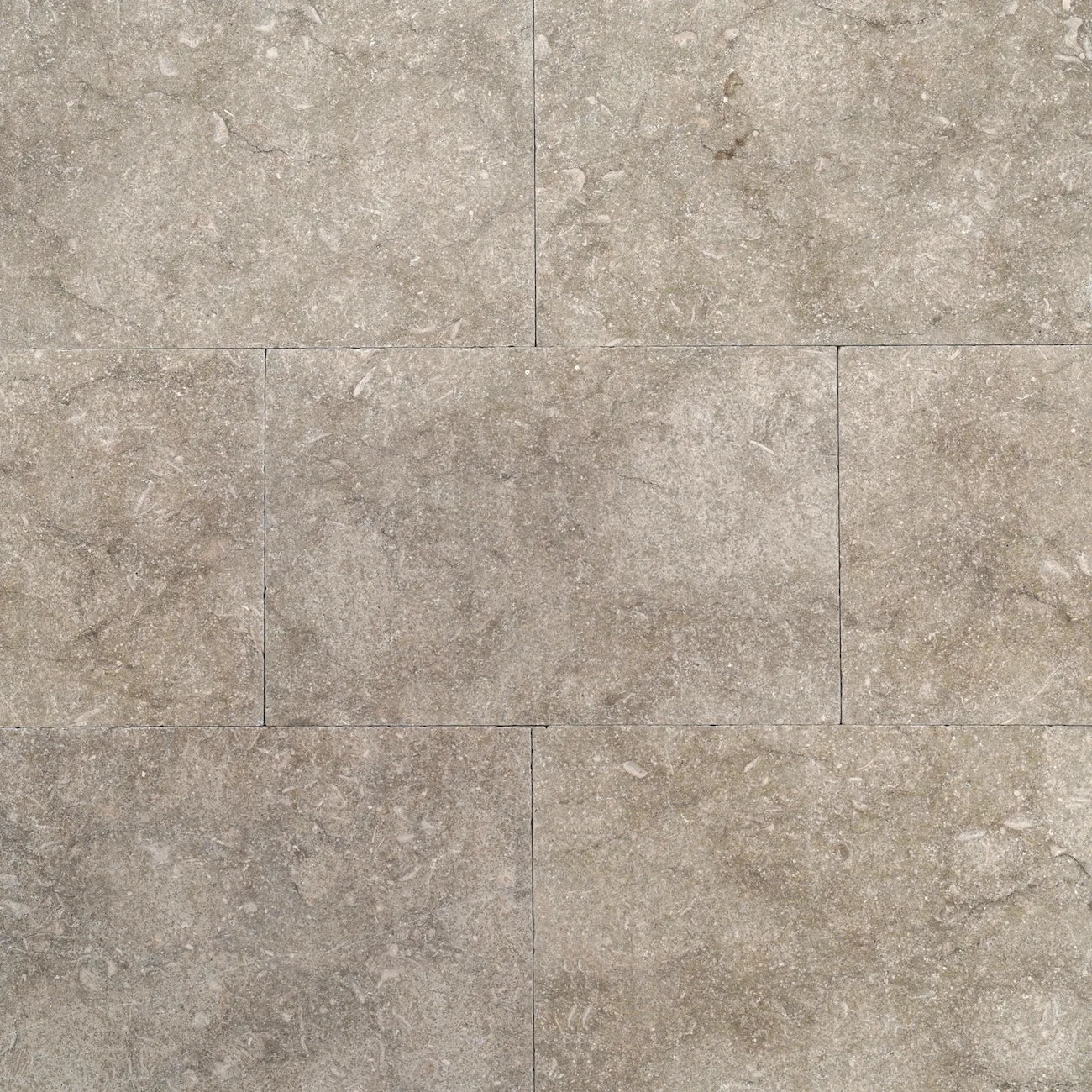 Seagrass Limestone