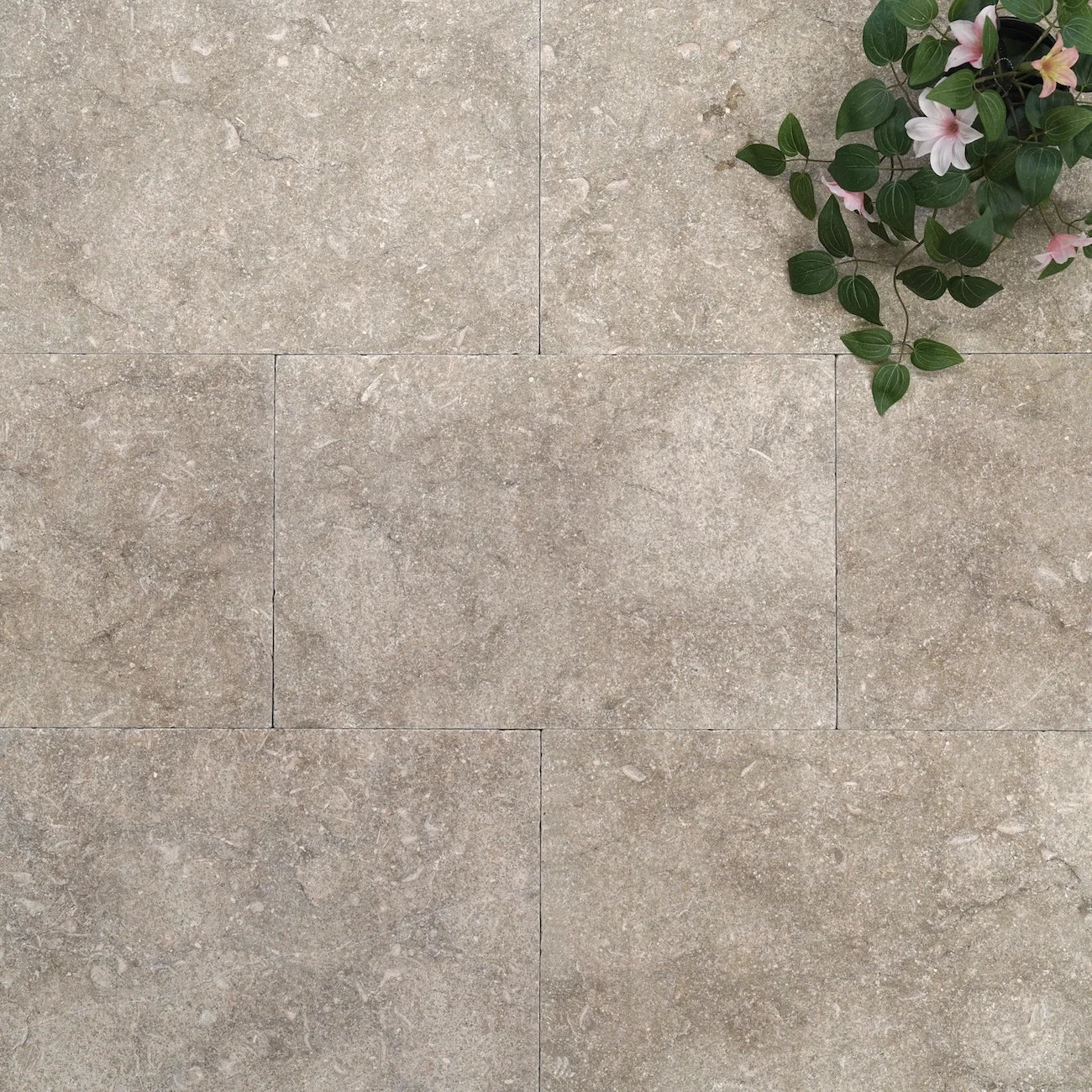Sample - Seagrass Limestone - Stone Centre