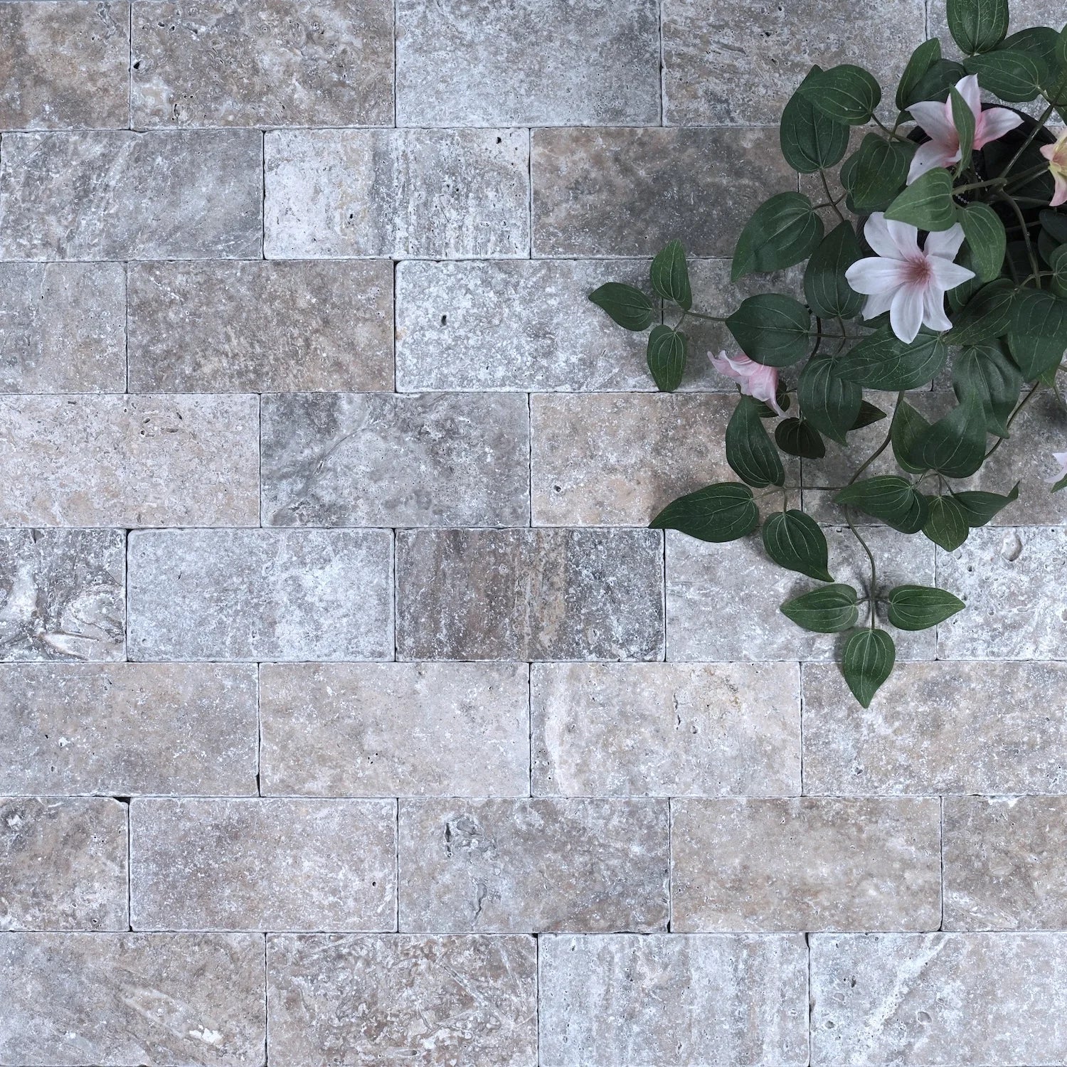 Sample - Silver Travertine Cobblestone - Stone Centre