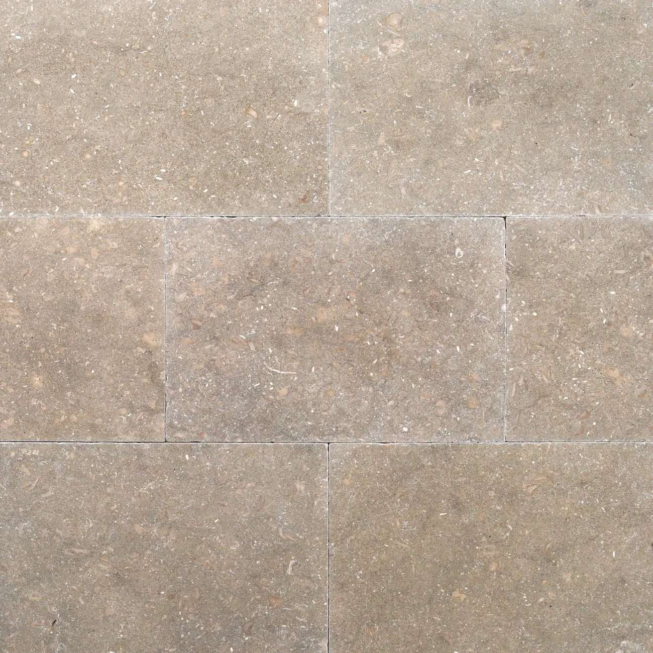 Tejas Limestone