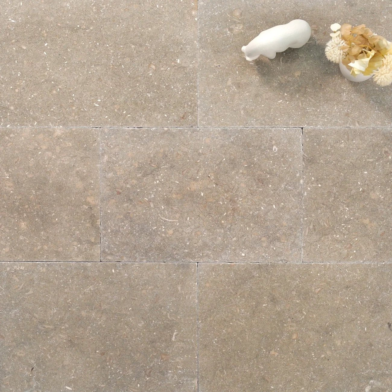Sample - Tejas Limestone - Stone Centre