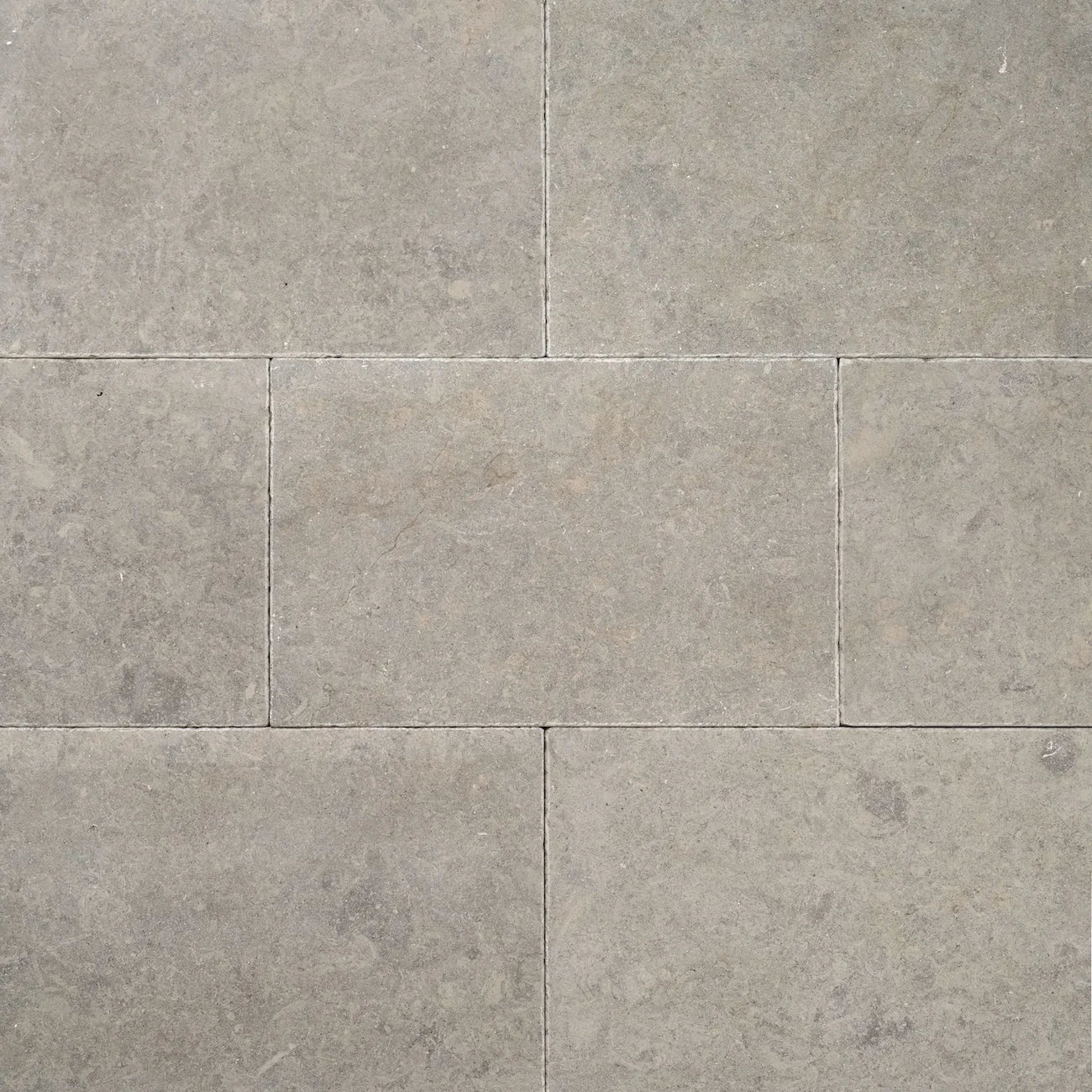 Vellore Limestone