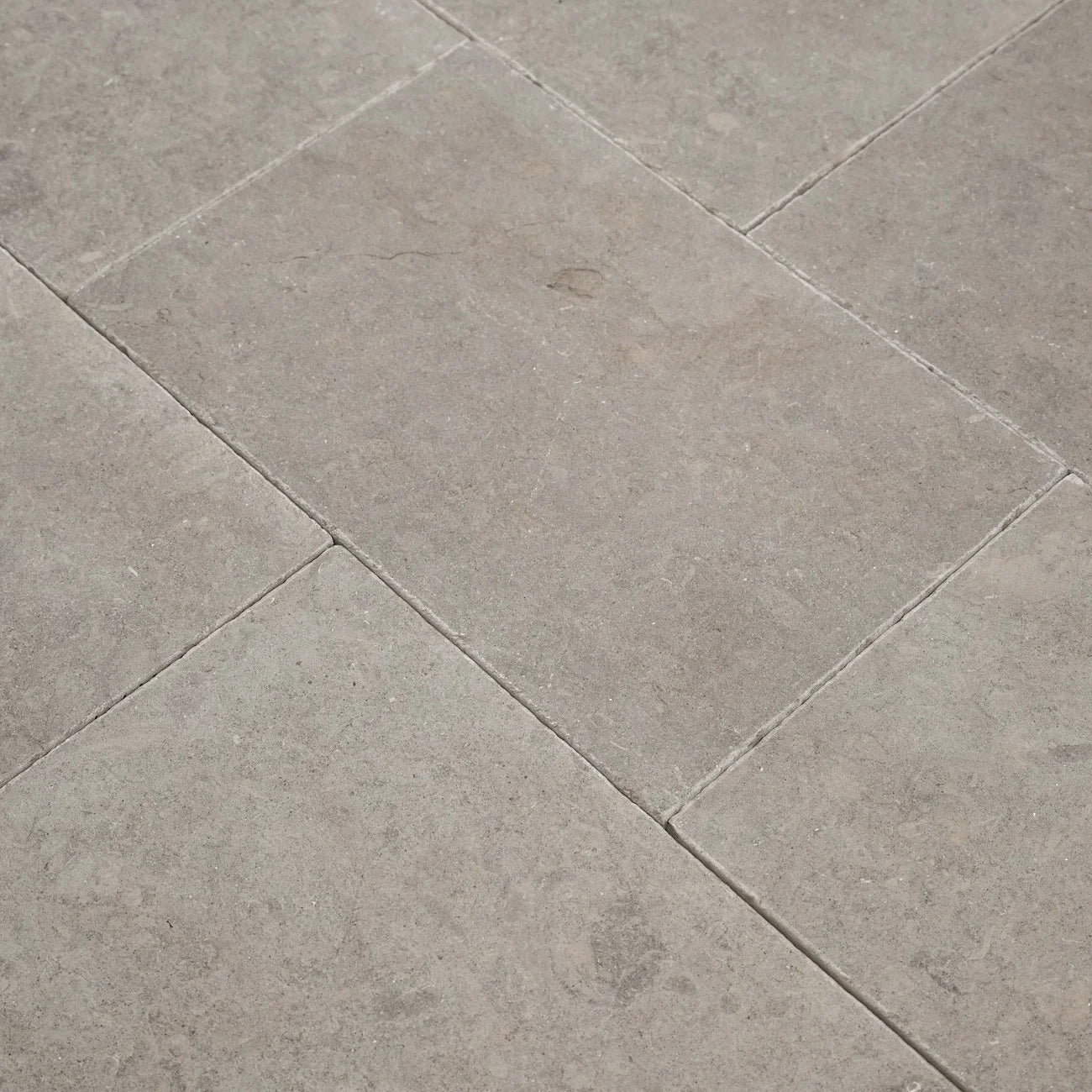 Vellore Limestone
