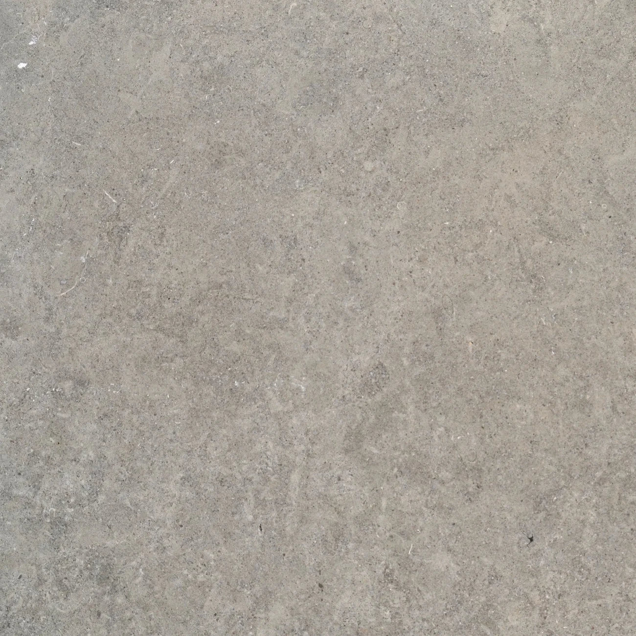 Vellore Limestone
