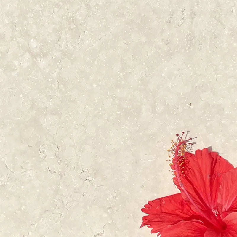 Sample - Crema Nuova Limestone