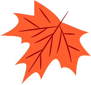 Maple Leaf