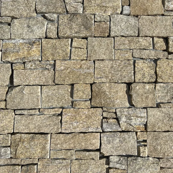 Tiger Skin