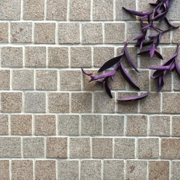 Honey Jesper Granite Mesh Back Cobblestone