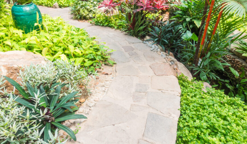 Path way